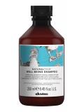Davines NATURALTECHWSP 